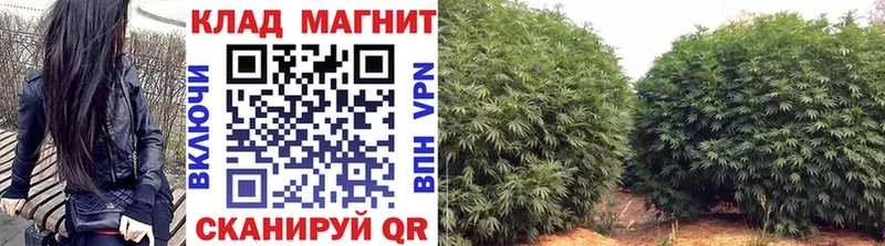 Купить наркотики цена Воткинск Марихуана  APVP  ОМГ ОМГ маркетплейс  МЕФ  COCAIN  ГАШ  АМФЕТАМИН 