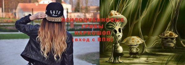 крисы Волоколамск