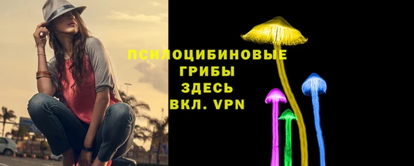 крисы Волоколамск