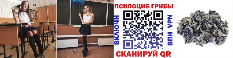 shop телеграм  Воткинск  Псилоцибиновые грибы Psilocybe 